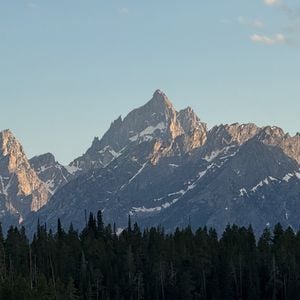 Cover art for Peak by realnipsup