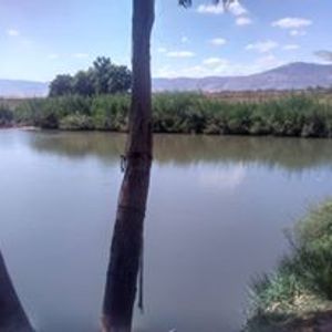 Roll River Jordan Instrumental Roots Reggae Selections By Asaf Smilan Mixcloud roll river jordan instrumental roots