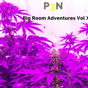 Big Room Adventures Vol X