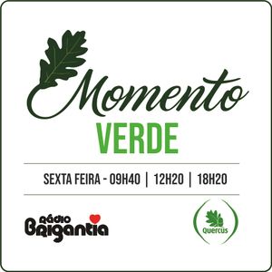 MOMENTO VERDE - POLUENTES ATMOSFERICOS