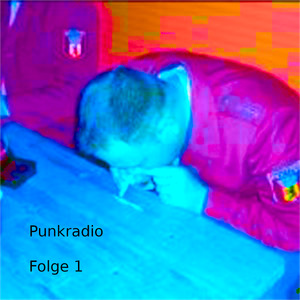 Cover art for Punkradio #1 by Punkradio