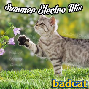 badcat's Summer Electro Mix
