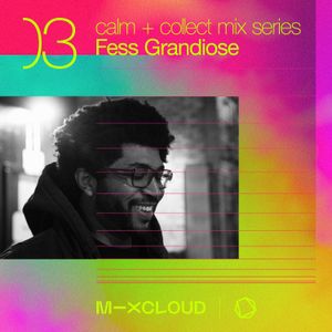 Calm + Collect Mix Series 03- Fess Grandiose