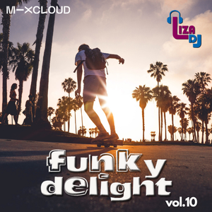 funky delight vol.10