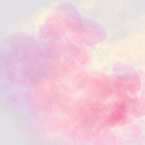 WALLS' concentration mix for DiS