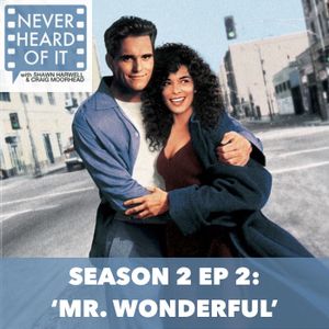 Season 2 Ep 2 Mr Wonderful By Never Heard Of It Mixcloud