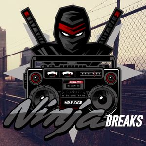 Ninja Breaks