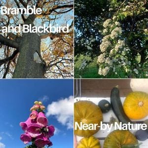 Beetle, bramble, and blackbird