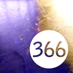 Shtoont #366