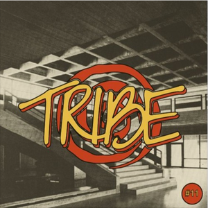 Tribecast # 11 - DJ Friction Boogie Mix for Collectif Tribe (France)