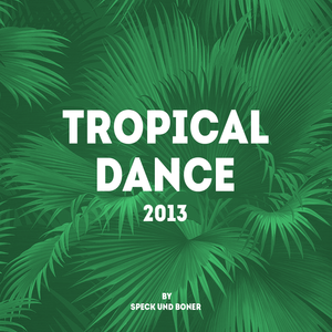 Tropical Dance 2013 (Liveset)