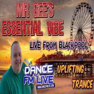 Mr Gee - Essential Vibe Show 122 2022-01-27