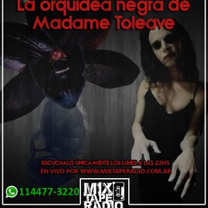 La orquidea negra de Madame Toleave