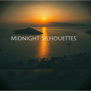Midnight  Silhouettes 11-7-21