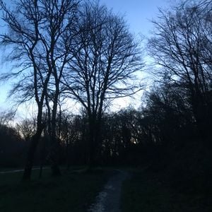 Intention, Impact, Output #2