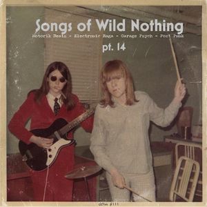 dfbm #111 - Songs of Wild Nothing Pt. 14