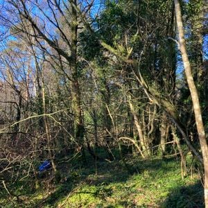 Intention, Impact, Output #4