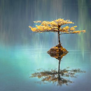 May Your Search Though nature ...Lead You To Your  Self