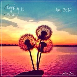 Cover art for Alex Cruz - Deep & Sexy Podcast #11 - July 2014 by Alexcruz