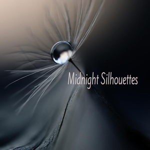 Midnight Silhouettes 2-28-20