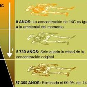 Promo Somos Nuestra Memoria: Fechamiento por radiocarbono