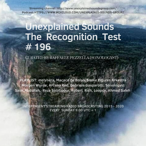 Unexplained Sounds - The Recognition Test # 196