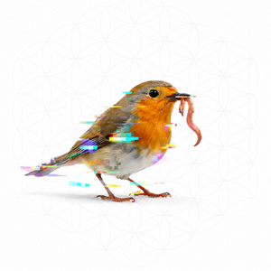 Cover art for EARLYBIRD RIDDIM by ODDIZEN