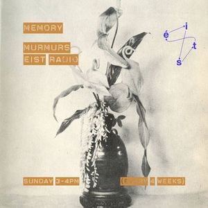 Memory Murmurs