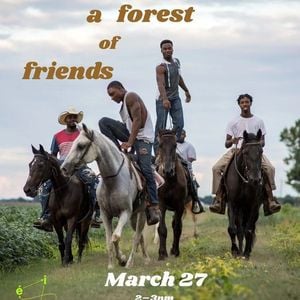 A Forest of Friends