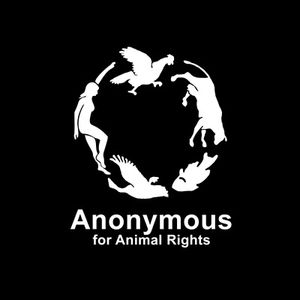 anonymous stuffed animal mail
