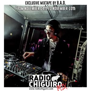 Chiguiro Mix #065 - B.A.D.