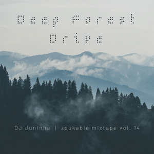 Deep Forest Drive - zoukable mixtape vol. 14 - deep and quiet beats