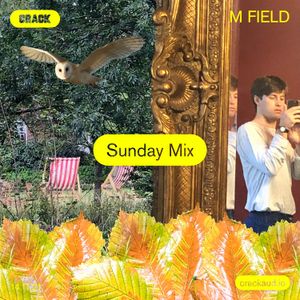 Sunday Mix: M Field