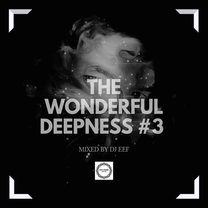 The Wonderful Deepness #3 Mixed by DJ Eef
