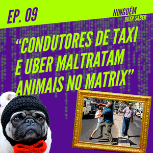 Ninguém Quer Saber