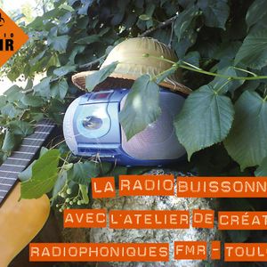 Troisième "Radio Buissonnière" du Festival Toulouse d'été 2014 - du 30 juillet 2014