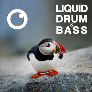 Liquid Drum & Bass Sessions #50 [November 2021]