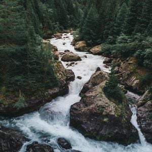 Papa on the hot line