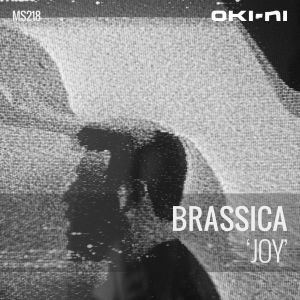 JOY by Brassica