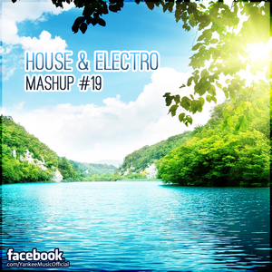 Yankee's House & Electro MashUp #19 (2013)