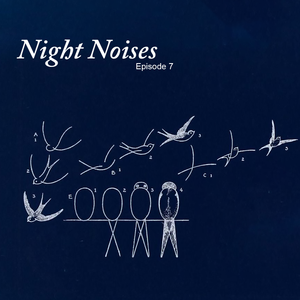 Night Noises Ep. 7