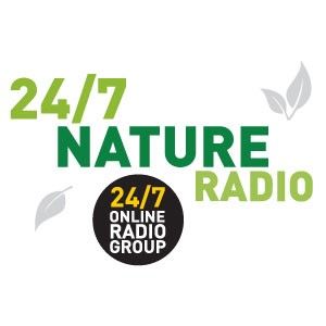 24/7 Nature Radio - Walking on Camber Sands
