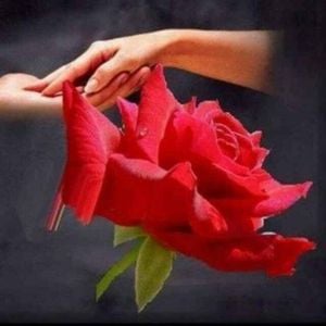 39 修订版启示录19章1 10节by 歌中雅歌 Mixcloud