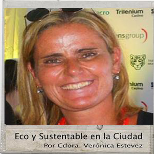 Entrevista Mg. Ma. Florencia Segura - Master en RSE