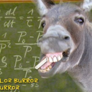 No Todos Los Burros Son Tan Burros 1 Una Quijada De Burro By Podcast De Jazon Mixcloud
