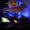 Nuracore (moved 2 soundcloud)