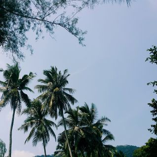 Monday Morning Mixtape 131