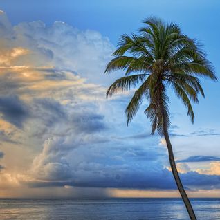 Quietmusic - August 21 (Hour 3 excerpt)