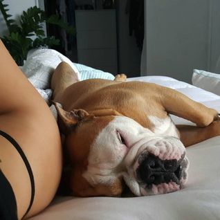 POP Depression #715 ﻿﻿﻿﻿﻿[﻿04-07-2016﻿﻿﻿﻿﻿﻿﻿﻿﻿﻿﻿﻿﻿﻿﻿﻿﻿﻿﻿]﻿