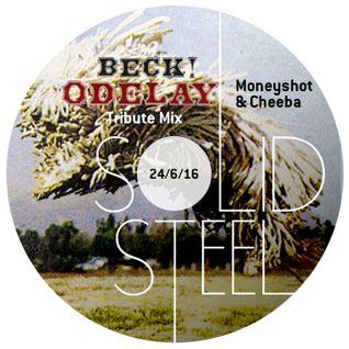 Solid Steel Radio Show 24/6/2016 Hour 1 - Moneyshot + Cheeba